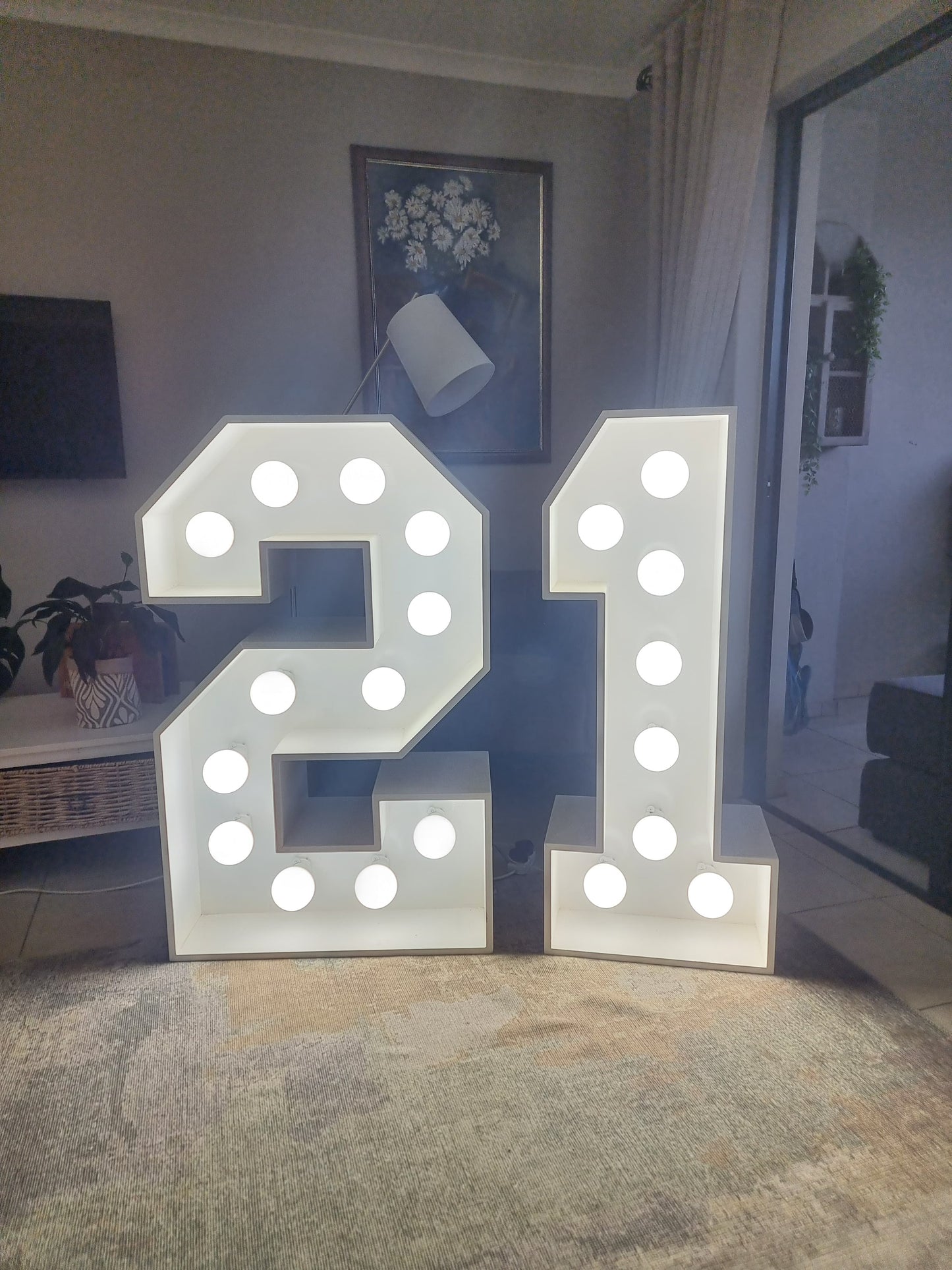 LED Numbers | Daily Rental