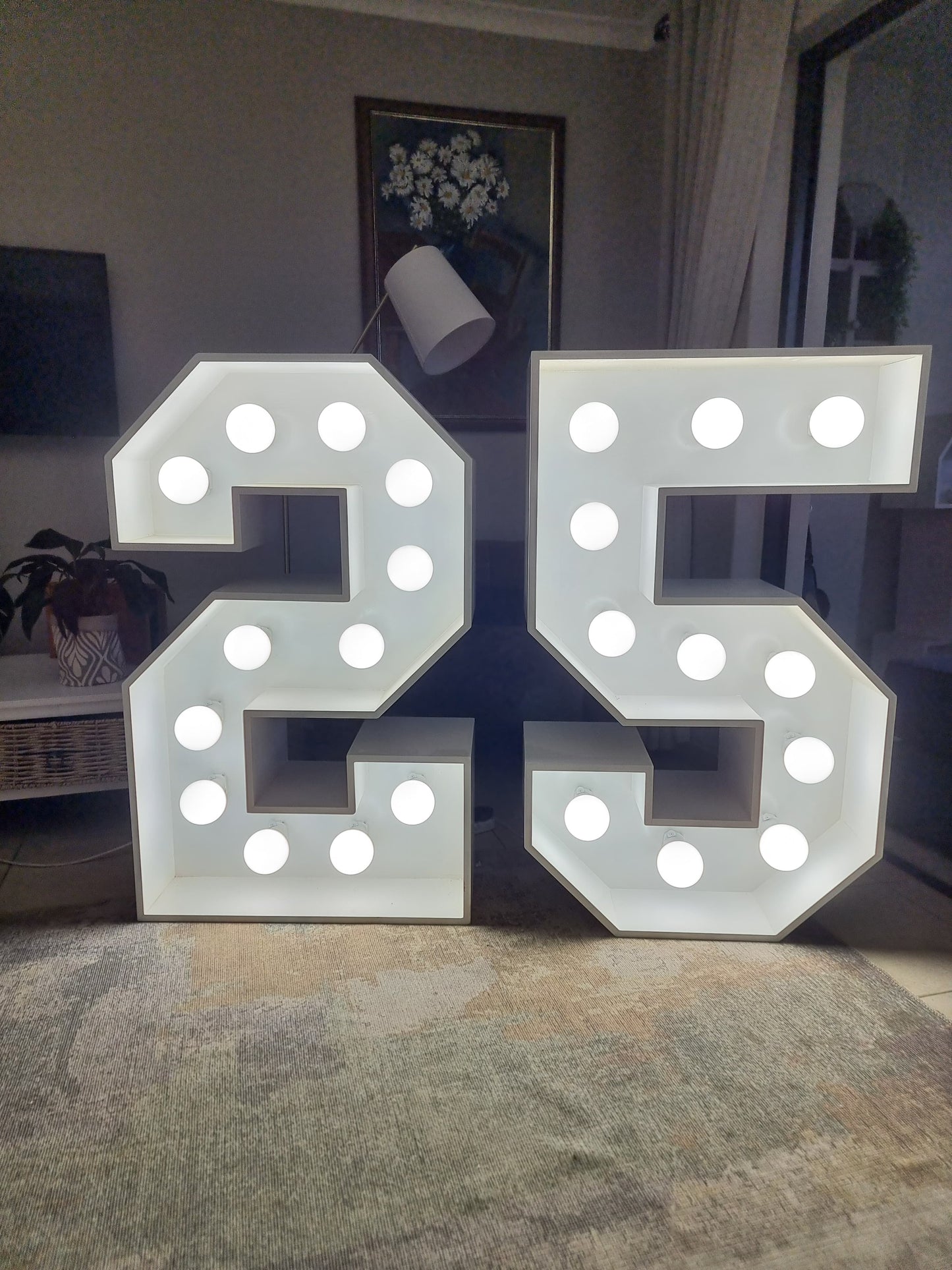 LED Numbers | Daily Rental