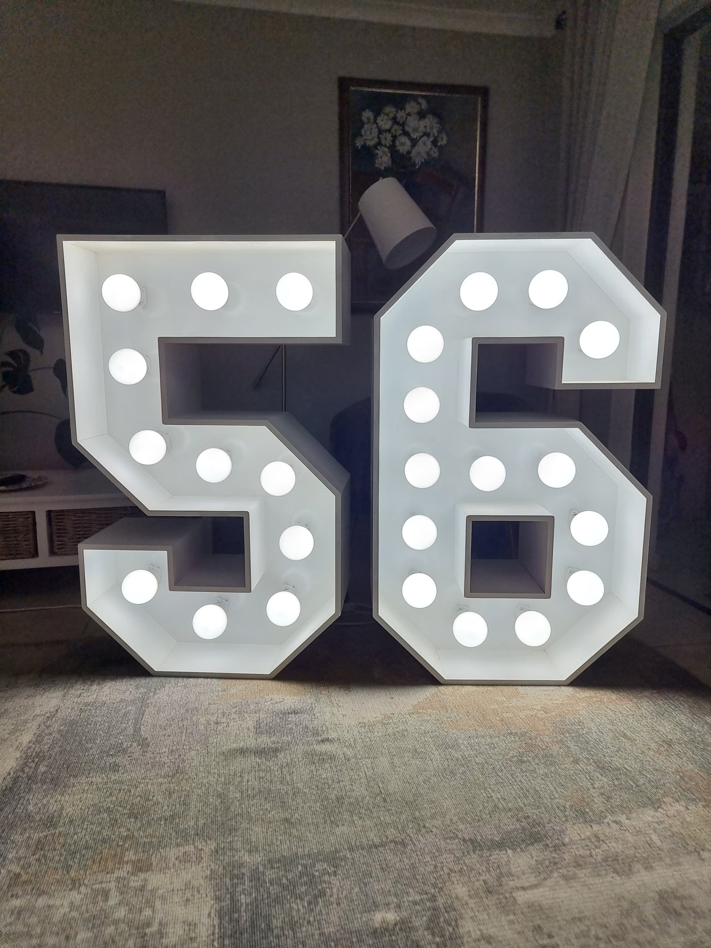 LED Numbers | Daily Rental