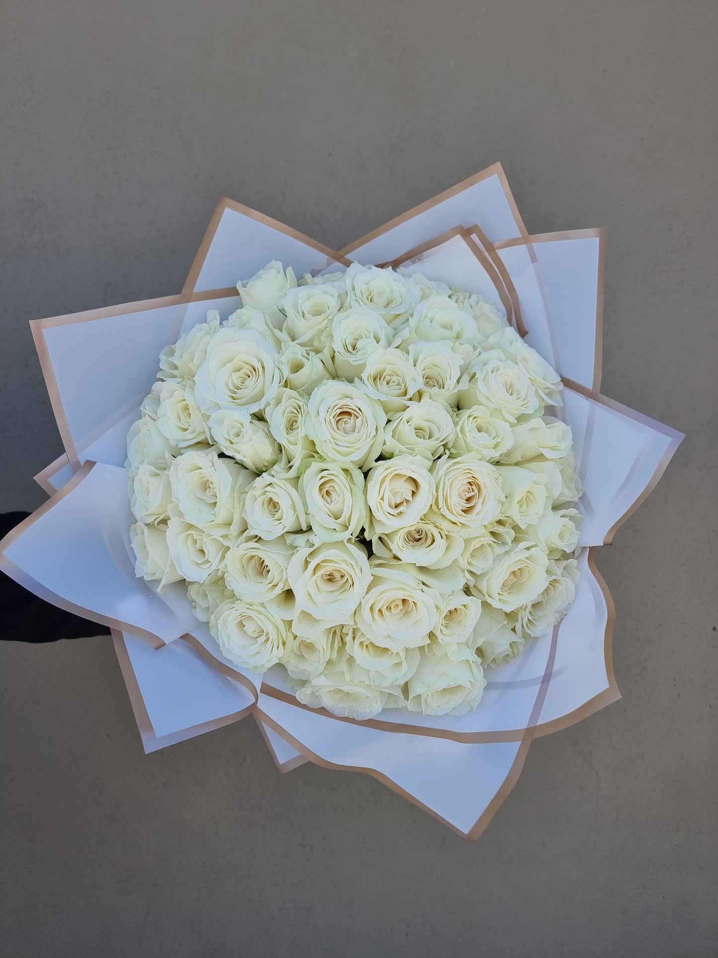 50 White Roses