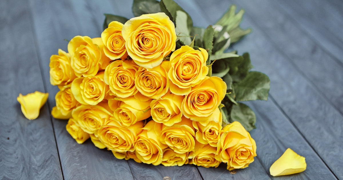 Yellow Roses | Single Stem