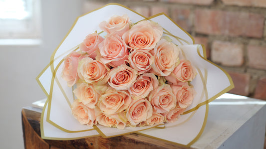 10 Peach Roses