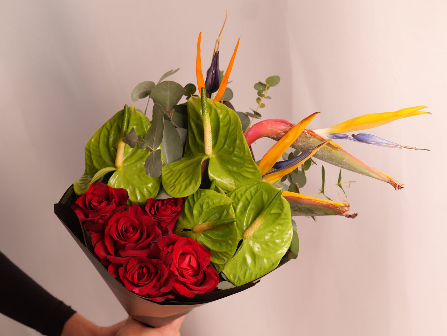 Strelitzia Magic #2