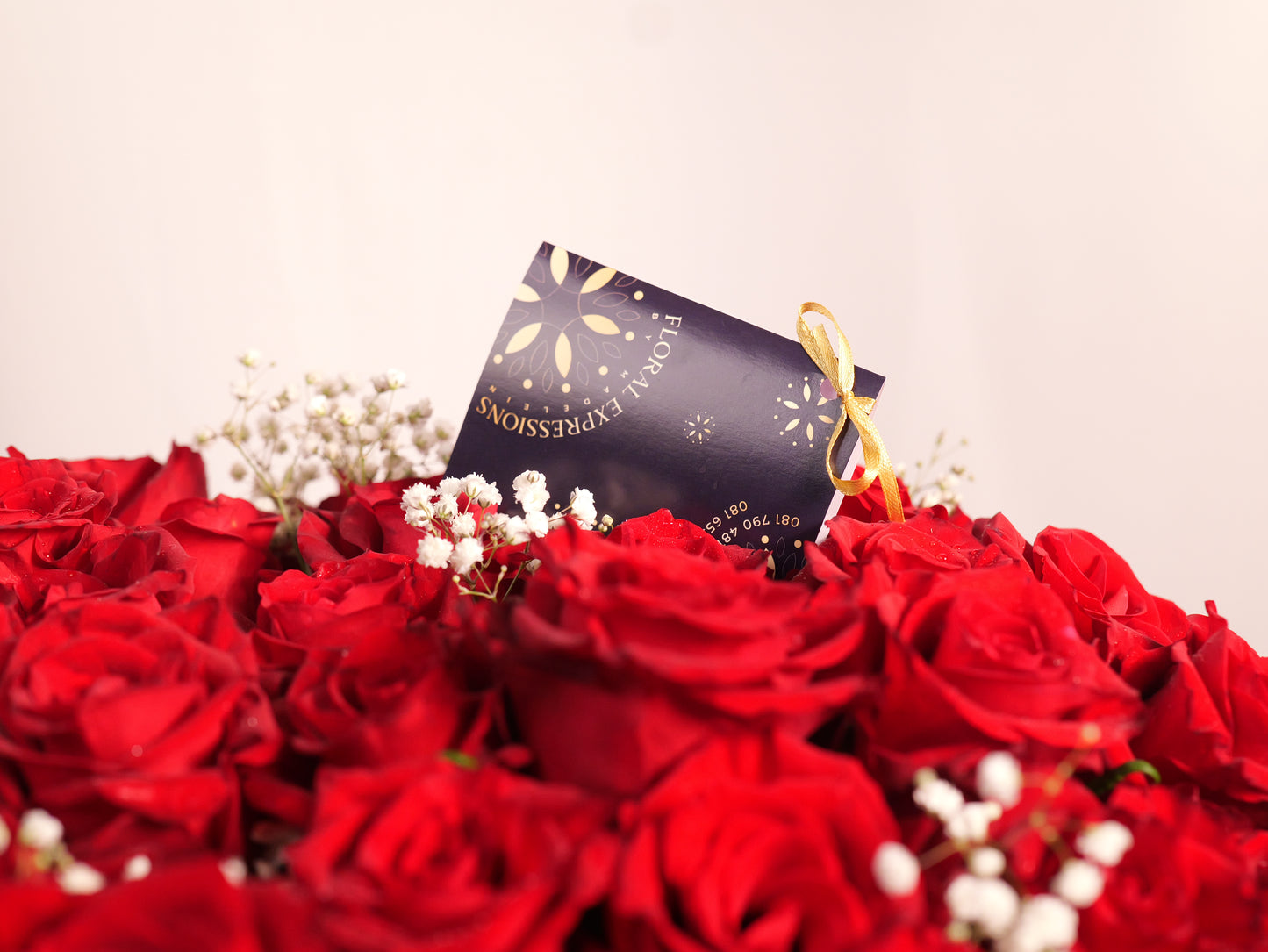 50 Red Roses & Gyps in a Large Glass Vase