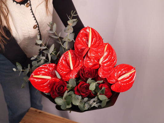 Anthurium Magic #1