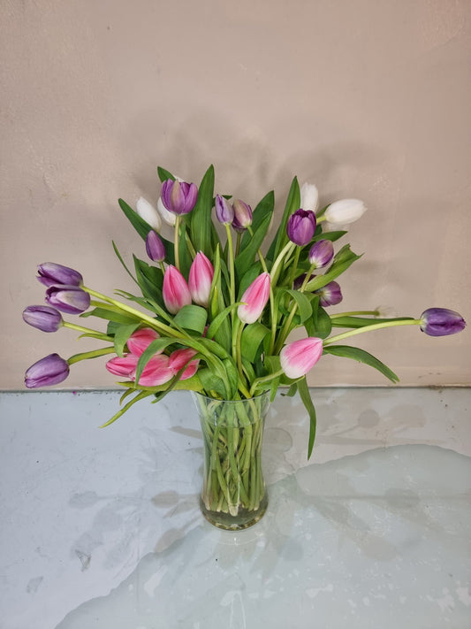 Tulips | Per Stem