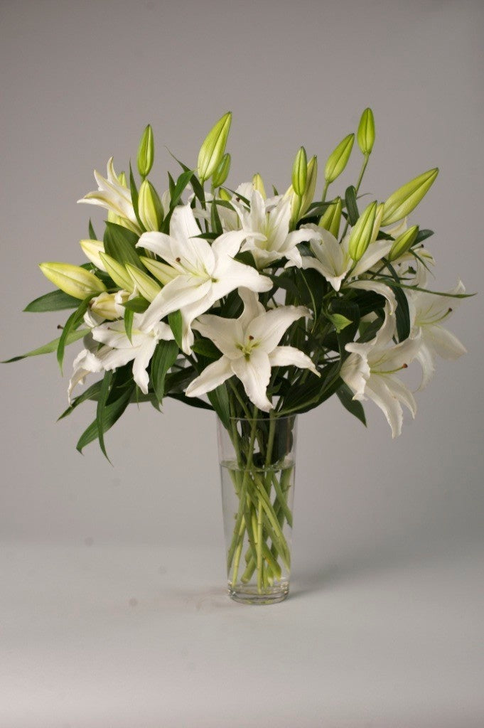 10 Lillies