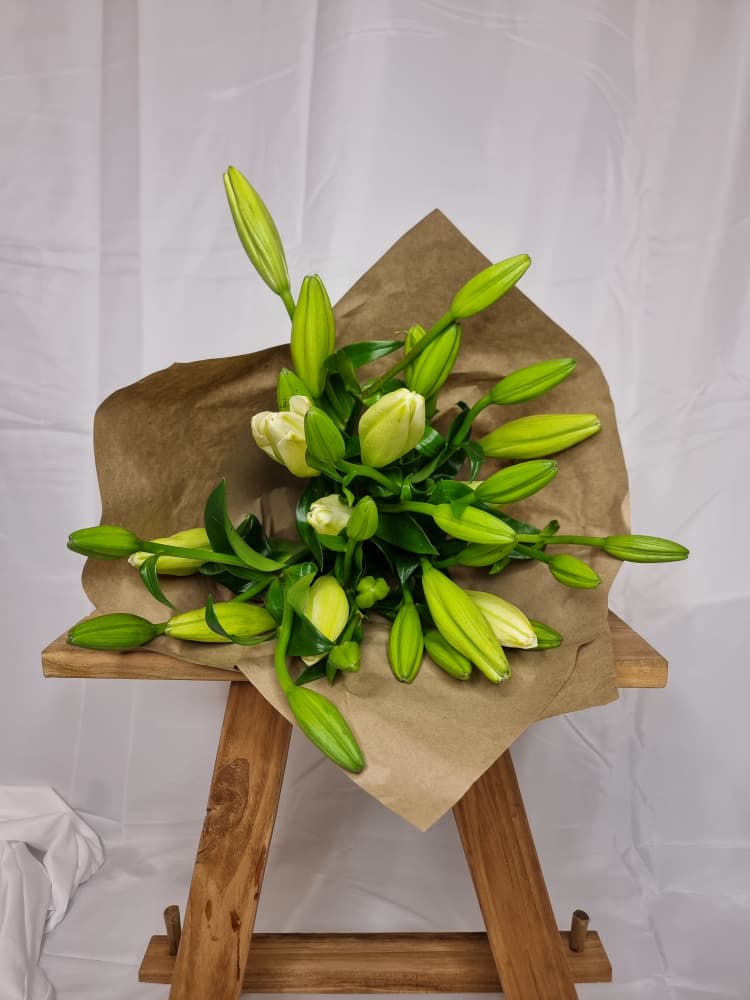 5 Lillies