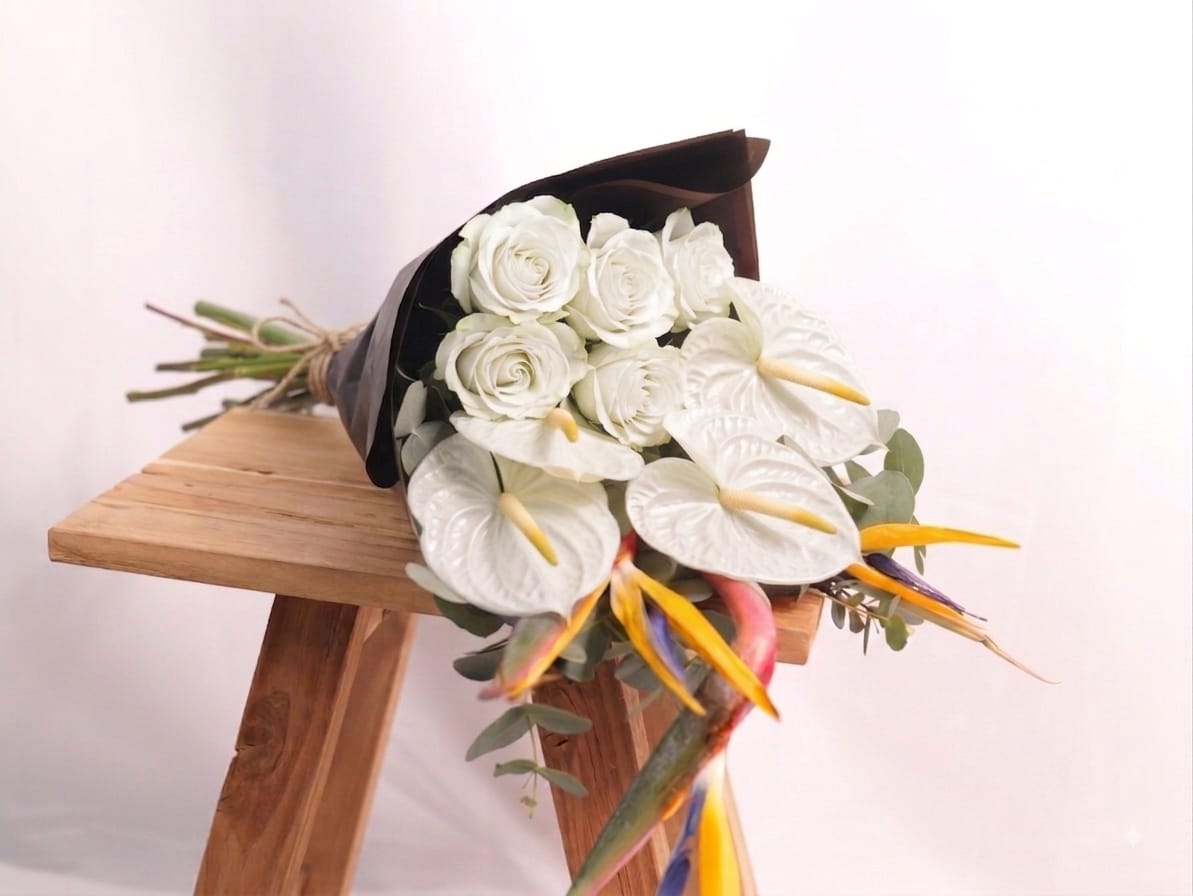 Strelitzia Magic #3