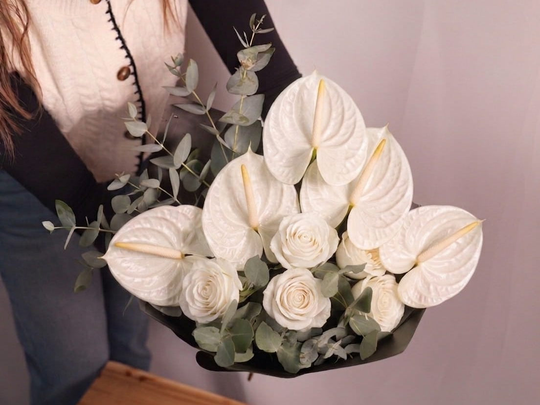 Anthurium Magic #2
