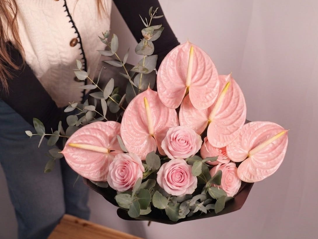 Anthurium Magic #3