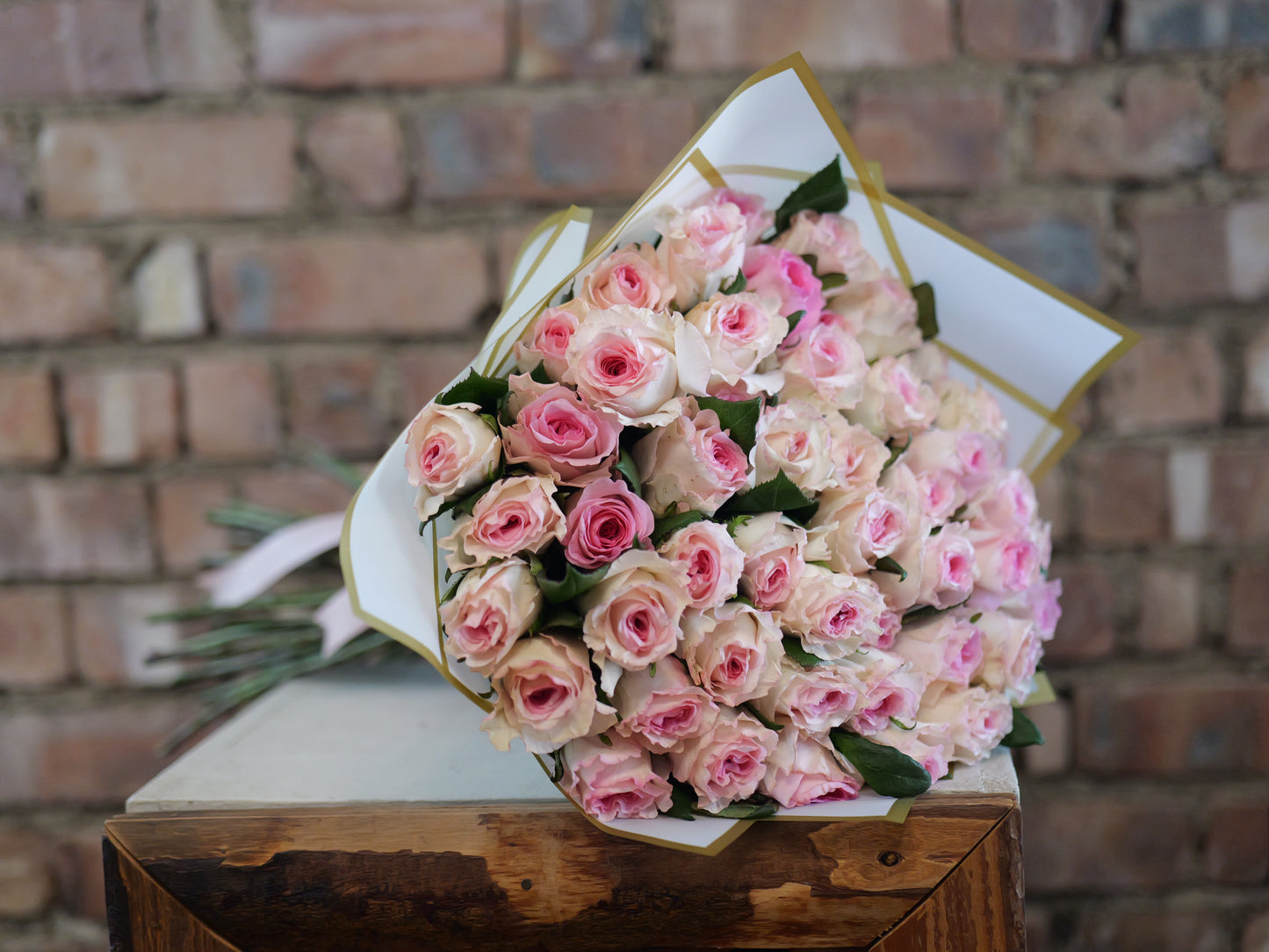 50 Light Pink Roses